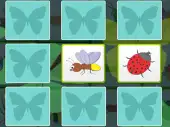 Kids Memory with Insects