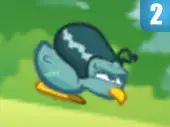 Kiwi Adventure 2